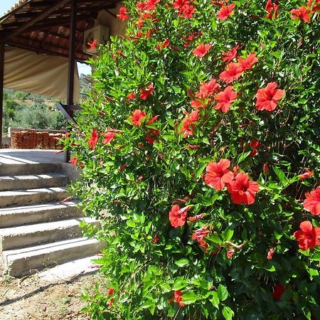 Countryside House Guest House Perachora Exterior photo