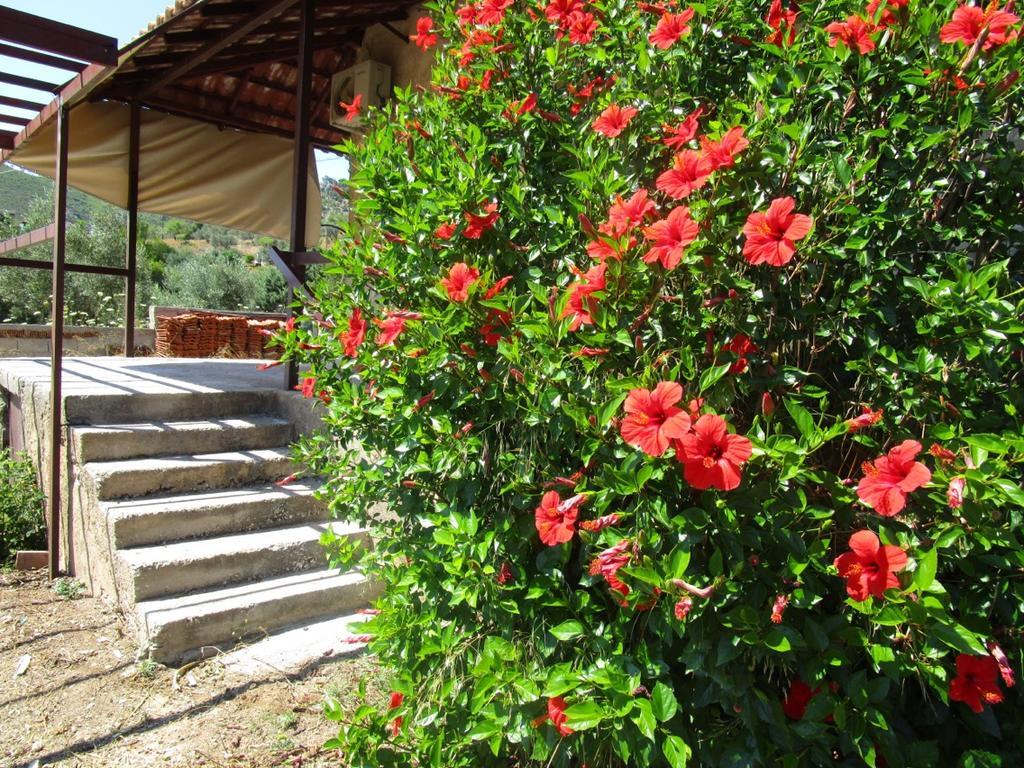 Countryside House Guest House Perachora Exterior photo